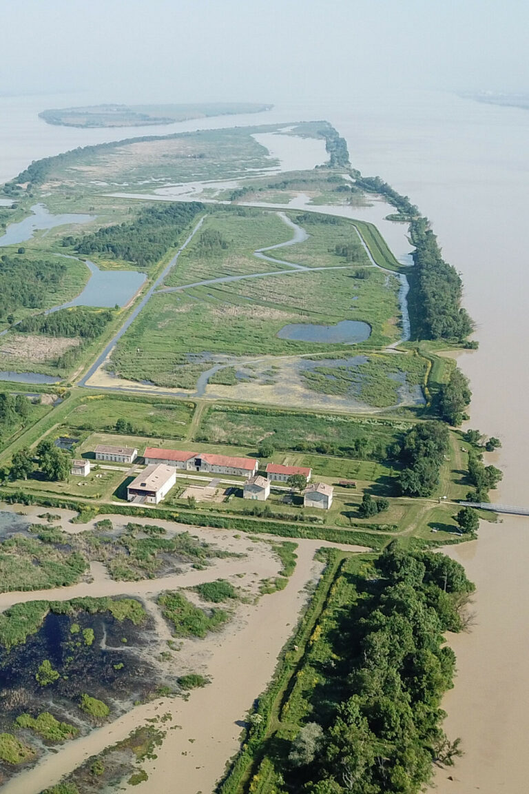 L'ïle Nouvelle en Gironde