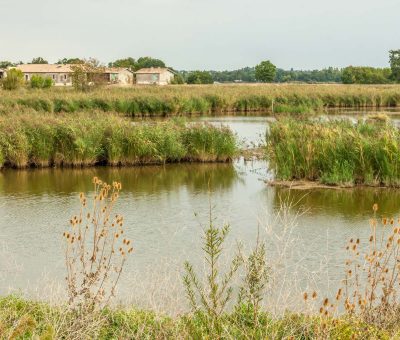 croisiere-excursion-promenade-blaye-marco-polo-bordeaux